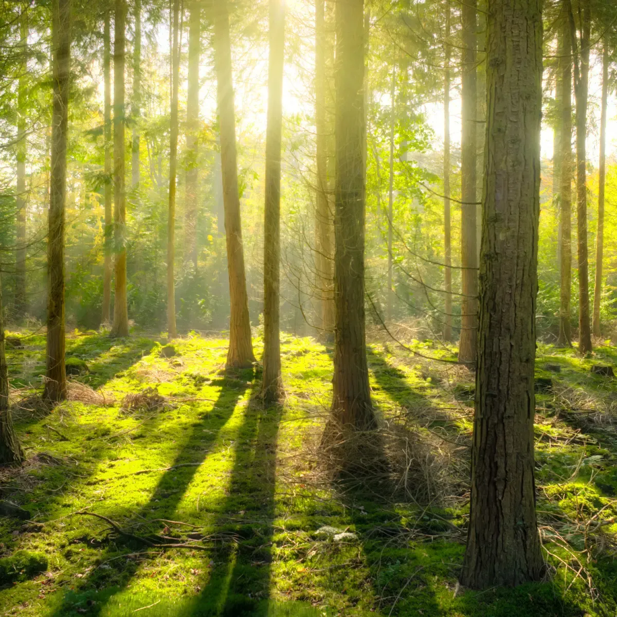 Klimaschutz